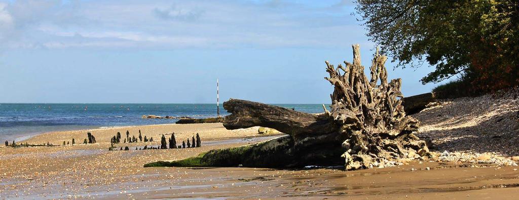 The Crab And Lobster Inn Bembridge Dış mekan fotoğraf
