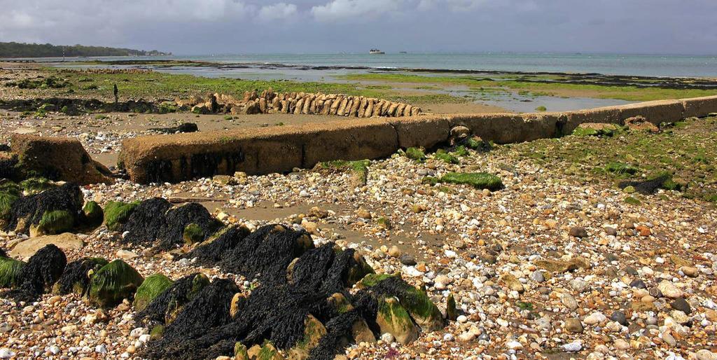 The Crab And Lobster Inn Bembridge Dış mekan fotoğraf